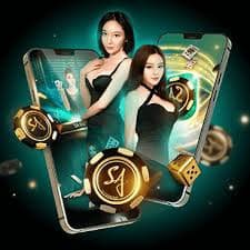 67bet app